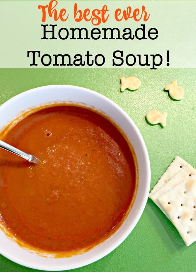 The Best EVER Homemade Tomato Soup! - MomOf6