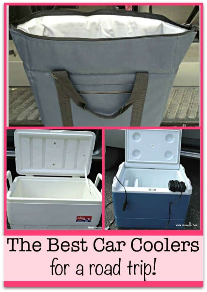 The Best Car Coolers for a Family Road Trip! - MomOf6